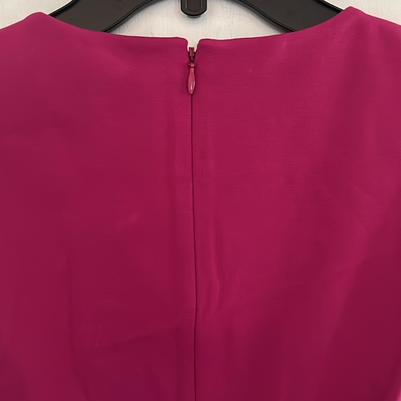 NWT DianeVonFurstenberg Raspberry Ruffled Dress - Picture 7 of 8